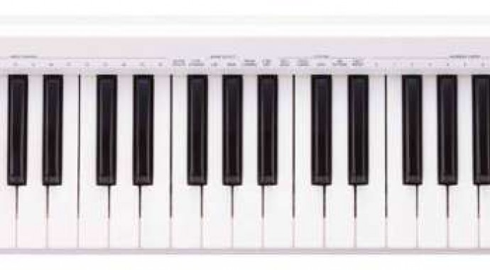 Roland A-49 WH - MIDI-клавиатура 