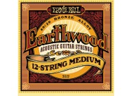 Ernie Ball 2012 Earthwood 12-string Medium 11-52