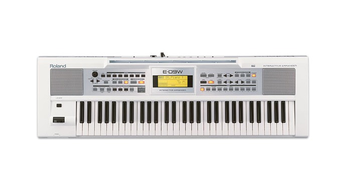 Roland E-09 WH - синтезатор 