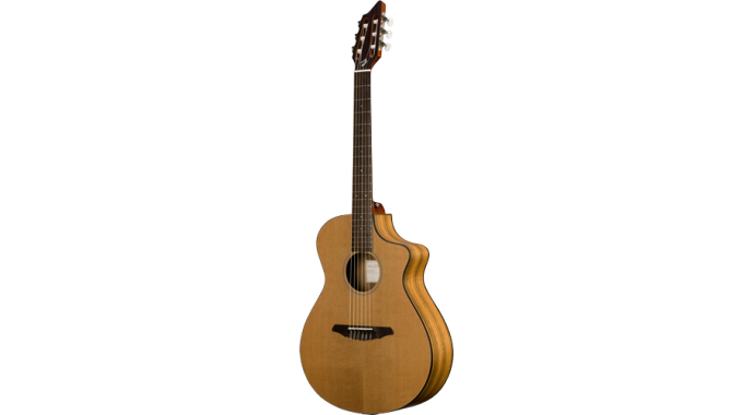 Breedlove Passport N250/COe - классическая гитара с пьезодатчиком