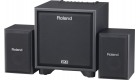 Roland CUBE-MONITOR-220